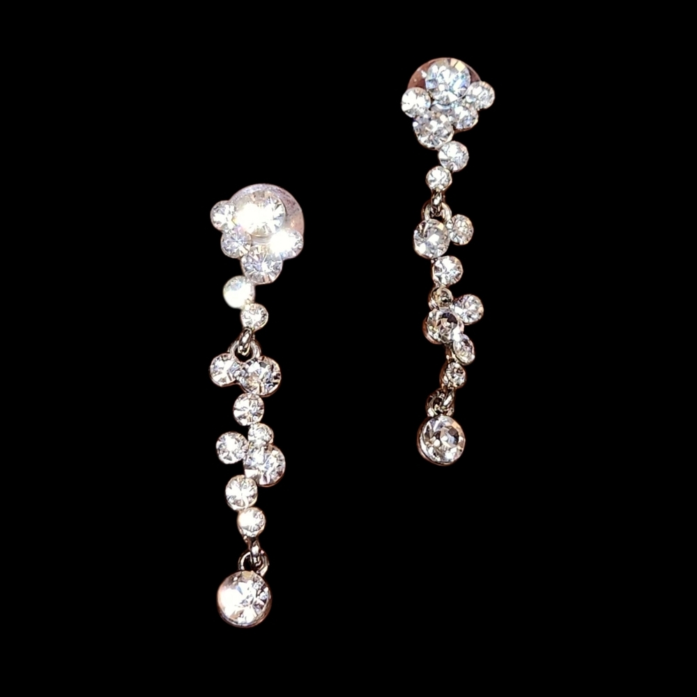 Silver Drop Earrings